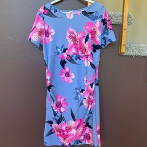 Pink Blush Maternity Dress